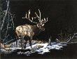 Loner Elk by Ron Ukrainetz Limited Edition Print