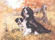 English Springer & Pup by Robert Abbett Limited Edition Print