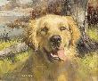 Happy Dog by Robert Abbett Limited Edition Print
