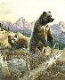 Grizzlies by R G Finney Limited Edition Print