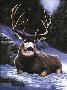 Mule Deer by R G Finney Limited Edition Print