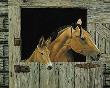 Mule & A Horse by R G Finney Limited Edition Pricing Art Print