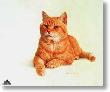 Morris The Cat by Charles Frace' Limited Edition Pricing Art Print