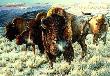 Prairie Thunder by Cynthie Fisher Limited Edition Print