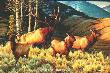 Ladies First Mulies by Cynthie Fisher Limited Edition Print