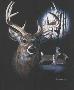 Nightlife Deer by C J Conner Limited Edition Print