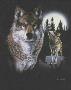 Nightlife Wolf by C J Conner Limited Edition Print