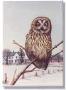 Short Eared Owl by Ed Newbold Limited Edition Pricing Art Print
