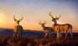 Sundown by Nancy Glazier Limited Edition Print