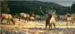 Rocky Mtn Meadow by Nancy Glazier Limited Edition Pricing Art Print