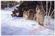 Lynx Together by Joan Sharrock Limited Edition Print