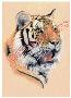 Siberian Tiger Port by Joan Sharrock Limited Edition Print
