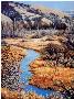 Willow Creek by Joan Sharrock Limited Edition Pricing Art Print