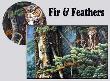 Fir & Feathers by Joan Sharrock Limited Edition Print
