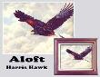 Aloft by Joan Sharrock Limited Edition Print