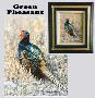 Green Pheasant by Joan Sharrock Limited Edition Print