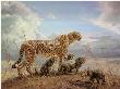 First Outing Cheet by Donald Grant Limited Edition Print
