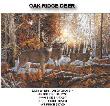Oak Ridge Deer by Donald Blakney Limited Edition Pricing Art Print