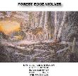 Forest Edge Wolves by Donald Blakney Limited Edition Print