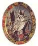 Screech Owl by Donald Blakney Limited Edition Print