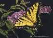 Tiger Swallowtail by Martiena Richter Limited Edition Print
