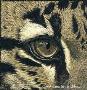 Prey Sight Leopard by Martiena Richter Limited Edition Print