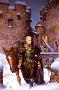 Changeling Prince by Don Maitz Limited Edition Pricing Art Print