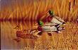 Afternoon Mallards by Richard Clifton Limited Edition Pricing Art Print