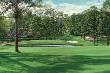 15Th @ Augusta by Linda Hartough Limited Edition Print