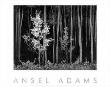 Ansel Adams Pricing Limited Edition Prints