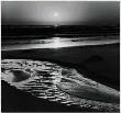 Birds On Beach Pstrun by Ansel Adams Limited Edition Pricing Art Print