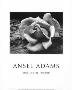 Rose Driftwood Pstrun by Ansel Adams Limited Edition Print