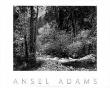 Tenaya Creek Pstrun by Ansel Adams Limited Edition Print