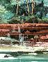 Trails End by Michael Atkinson Limited Edition Pricing Art Print