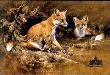 Vixen & Friend by Alan Hunt Limited Edition Print