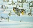 After Blizzard by Lars Jonsson Limited Edition Print