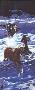 First Snow by Diana Beach Limited Edition Pricing Art Print
