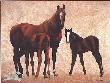 Company For Dinner by Diana Beach Limited Edition Print