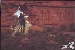 Gallery Ancient Pstrun by Jim Rey Limited Edition Print