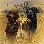 Great Hunt Dogs Iii by James Killen Limited Edition Pricing Art Print