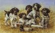 Great Hunt Dogs I by James Killen Limited Edition Print