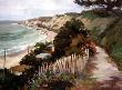 Crystal Cove by Linda Tippetts Limited Edition Print