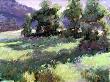 Meadow On The Front by Linda Tippetts Limited Edition Print