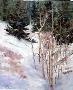 Winters Trees by Linda Tippetts Limited Edition Pricing Art Print
