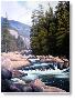 Waters Merced River by John Cogan Limited Edition Pricing Art Print