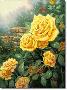 A Perf Yellw Rose by Thomas Kinkade Limited Edition Print