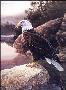 Sunrise Otter Creek by Laura Mark-Finberg Limited Edition Print