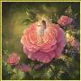 Rose Fairy by Mary Baxter St Clair Limited Edition Pricing Art Print