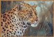 Leopard by Gamini Ratnavira Limited Edition Print