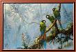 Golden Collar Macaws by Gamini Ratnavira Limited Edition Print